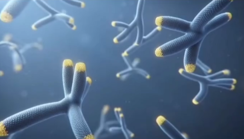 Уповільнення біологічного годинника